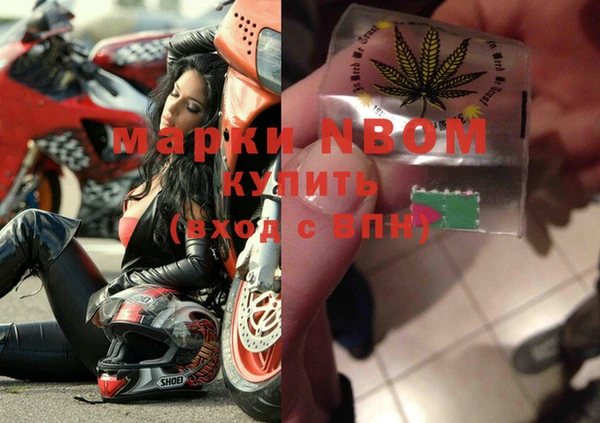 стафф Заводоуковск