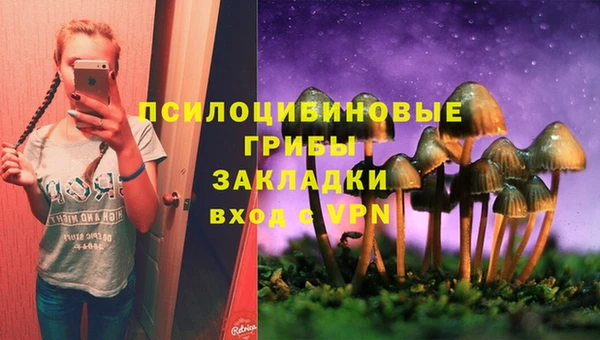 ГАЛЛЮЦИНОГЕННЫЕ ГРИБЫ Алзамай