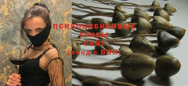 метадон Алексеевка
