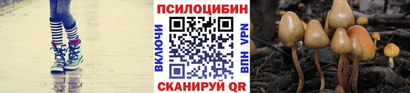 наркошоп  Первоуральск  Галлюциногенные грибы GOLDEN TEACHER 